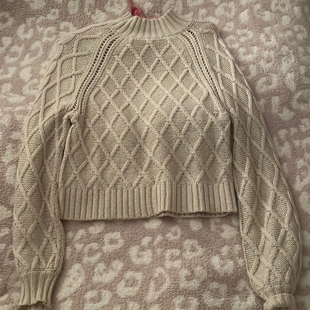 American Eagle Cropped Mock Neck Sweater